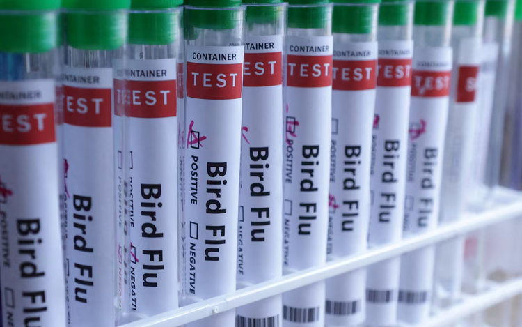Mexico reports first human case of H5N1 bird flu