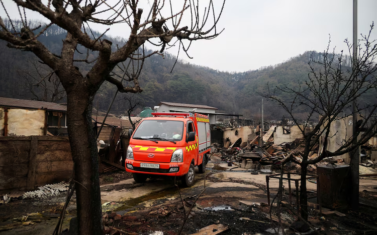 South Korea's deadly fires made twice as likely by climate change, researchers say