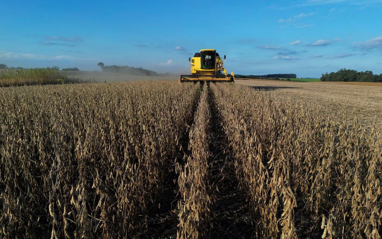 Brazilian researcher who helped country's grain boom wins World Food Prize