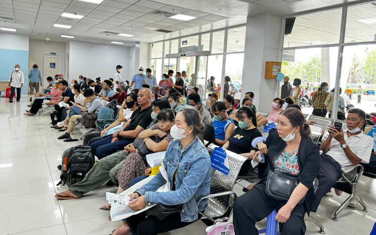 Ho Chi Minh City launches crackdown on counterfeit medicines, medical devices