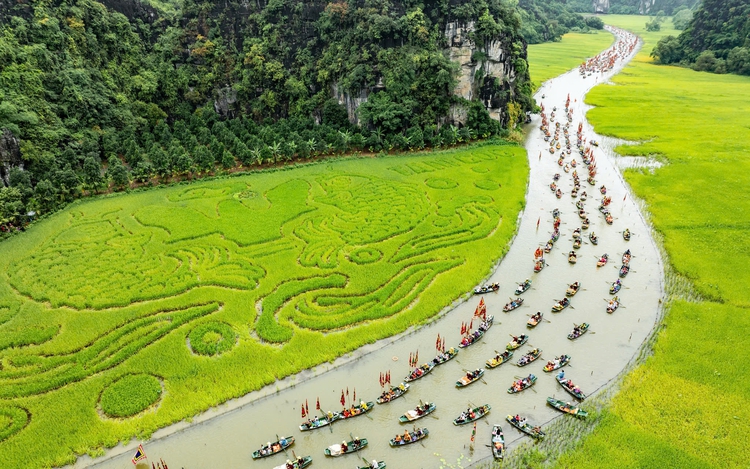 Vietnam's Ninh Binh kicks off 2025 Tourism Week amid golden rice harvest
