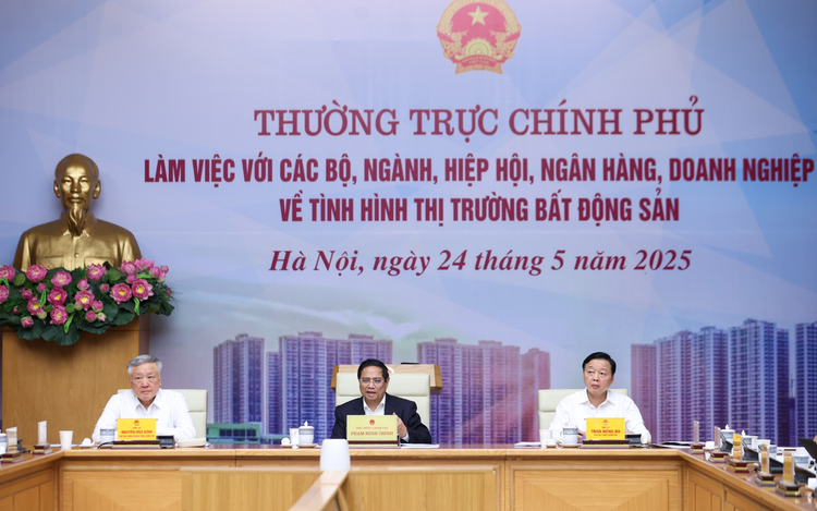 Vietnamese premier orders swift action on tax policy for idle real estate