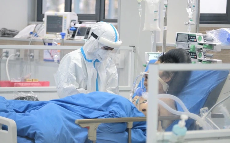 Vietnam reports 641 COVID-19 cases, NB.1.8.1 variant dominant in Ho Chi Minh City
