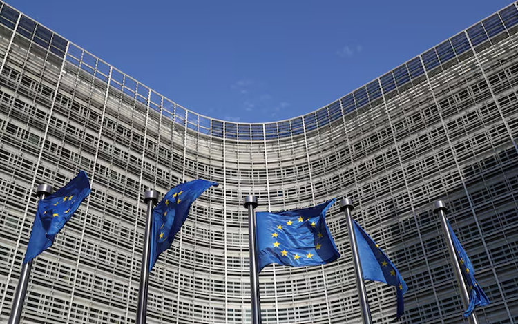 Eleven countries demand EU weakens deforestation law further, document shows