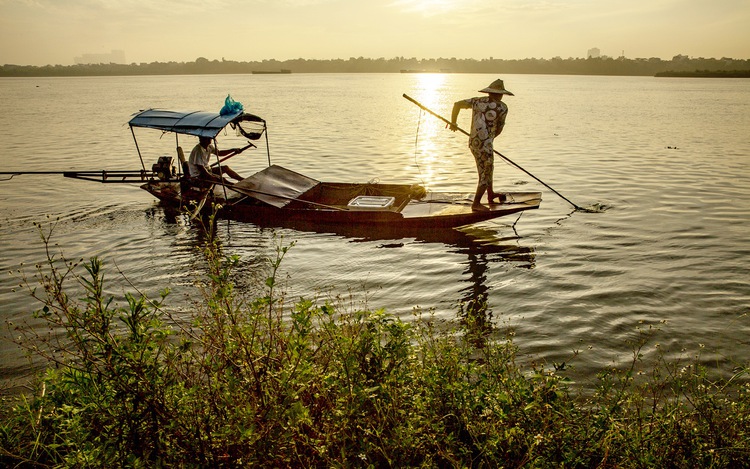 Hanoi fishers use illegal shock devices to catch fish under Long Bien Bridge