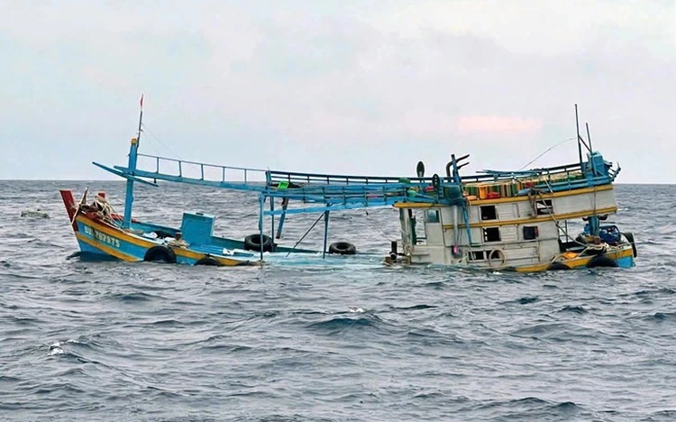 10 Vietnamese fishermen rescued after collision with foreign cargo ship off Con Dao