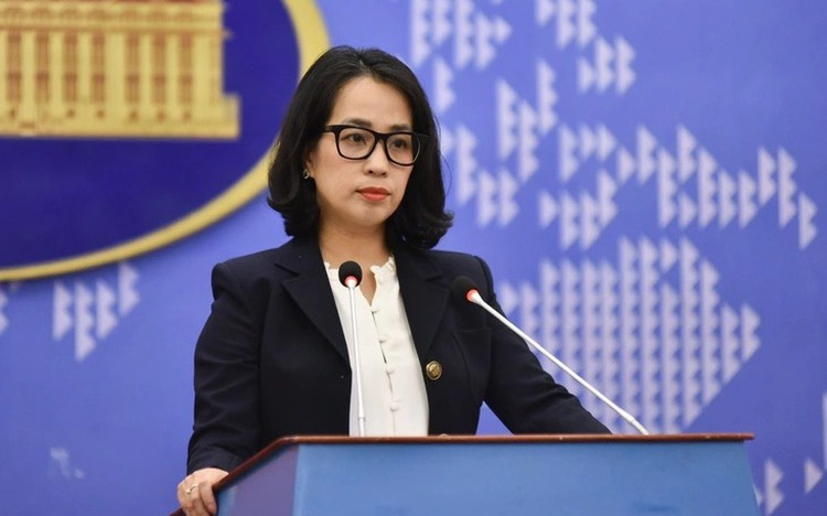 Vietnam protests violations of its sovereignty in Truong Sa archipelago
