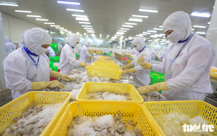 Vietnamese exporters accelerate shipments to US ahead of new tariffs