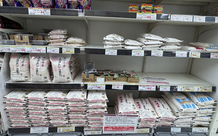 Vietnamese rice, fish sauce gradually gain traction in Japan
