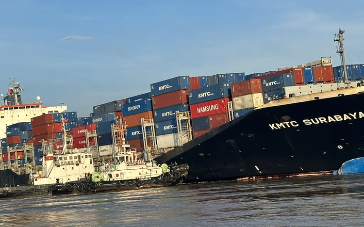 Oil spill contaminates over 17ha of Ho Chi Minh City forest following collision of 2 foreign vessels