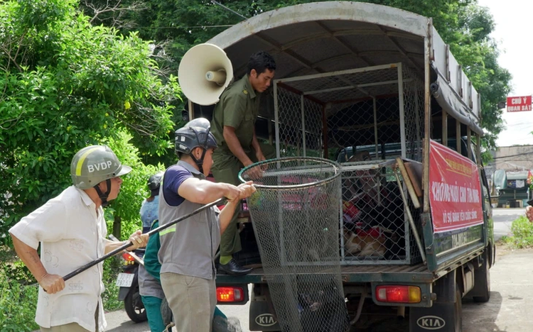 Man dies from suspected rabies over a year after dog bite in southern Vietnam