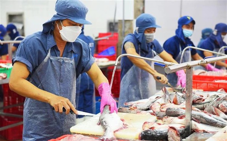 Vietnamese seafood exporters rush to beat US tariff deadline