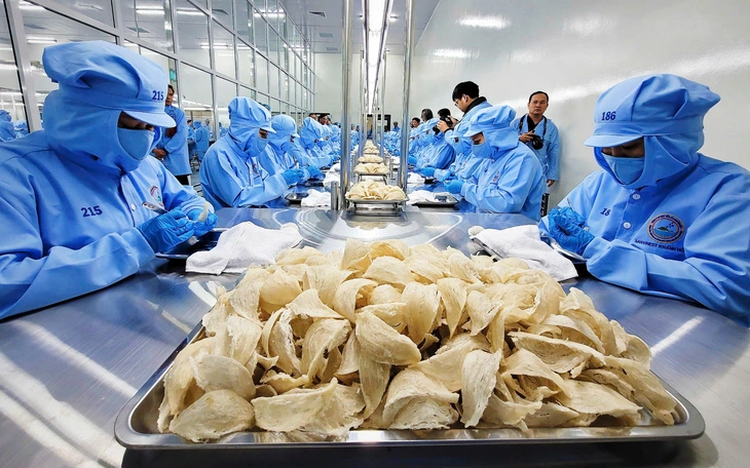China requires aluminum residue testing for bird’s nest shipments from Vietnam