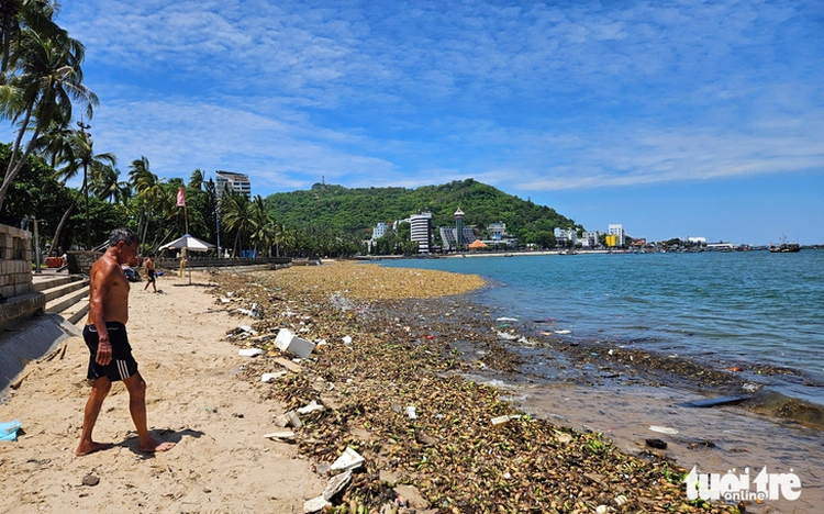 Tens of metric tons of plastic waste, water hyacinths wash ashore in southern Vietnam