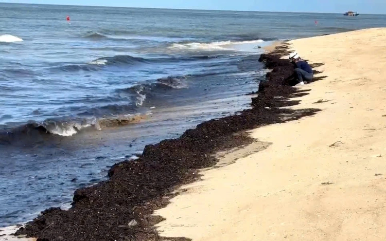 Hundreds of tonnes of marine waste wash ashore at popular Vietnam beaches