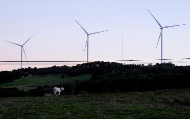 EU plans to add carbon credits to new climate goal, document shows