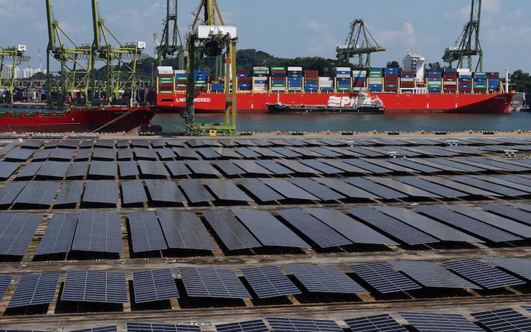 Singapore renewables usage hits record high as imports, solar output rise