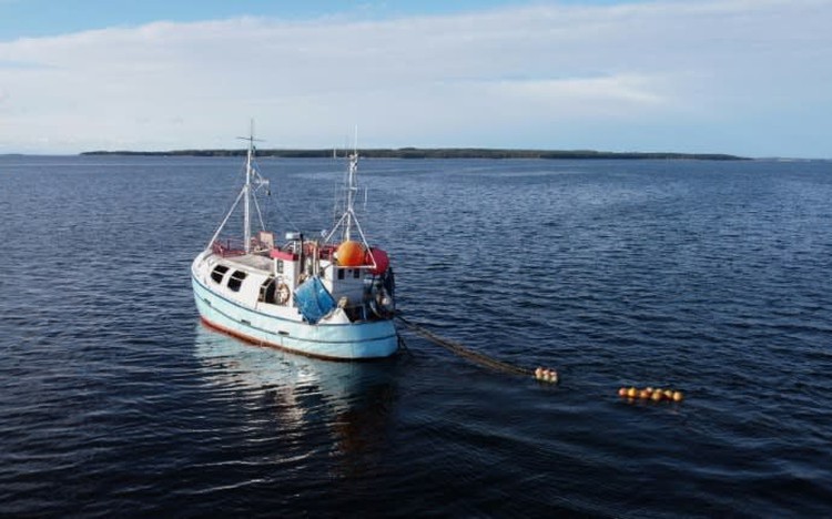 Ailing Baltic Sea in need of urgent attention