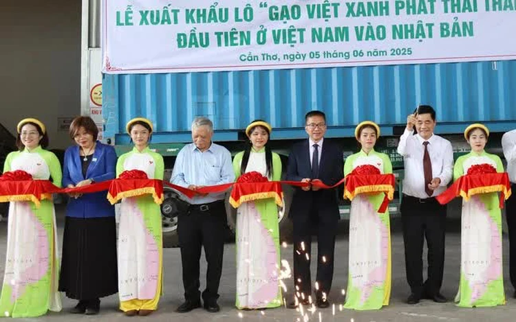 Vietnam ships first batch of low-emission rice to Japan