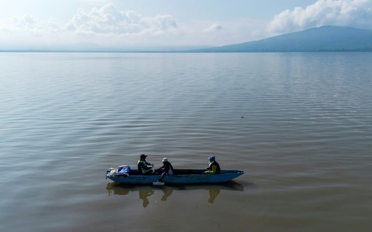 Mexican fishermen join fight to save extraordinary amphibian