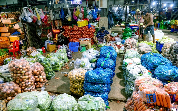 Vietnam strives to phase out small non-biodegradable plastic bags, single-use plastics