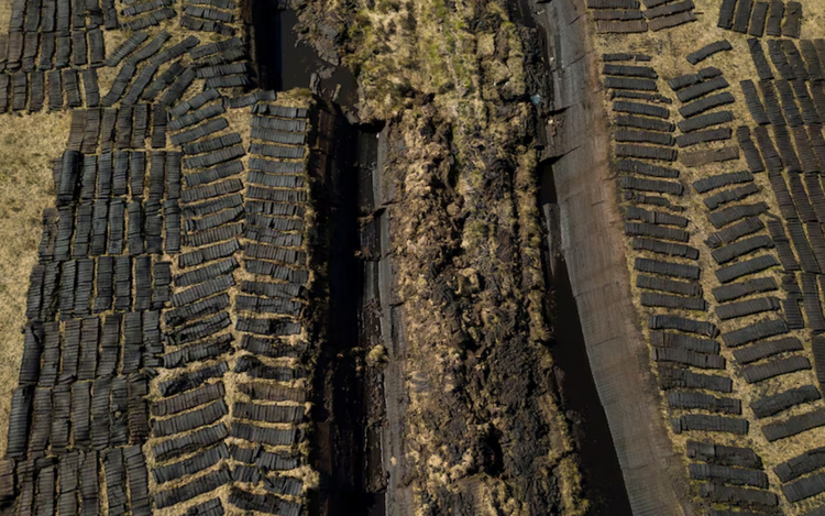 World risks up to $39 trillion in economic losses from vanishing wetlands, report says