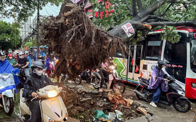 Rare, strong rainstorm hits northern Vietnam, delivering 26 m/s gusts in Quang Ninh