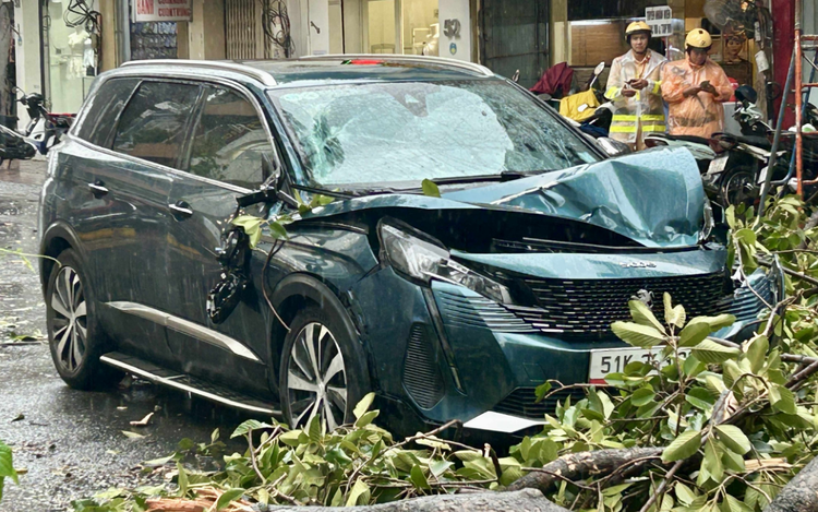 Strong winds, thunderstorm topple trees across Ho Chi Minh City