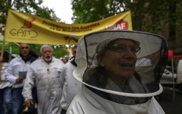 French petition against return of bee-killing pesticide passes 1mn