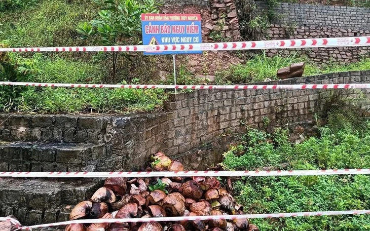 Vietnam’s Hai Phong mobilizes 70,000 personnel, relocates 18,000 tourists in response to storm Wipha
