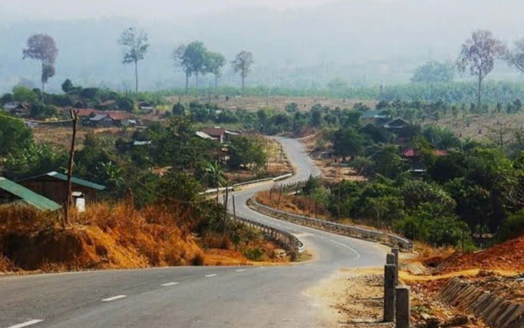 Vietnam reports rabies outbreak in remote border commune; 15 dogs culled, two people treated