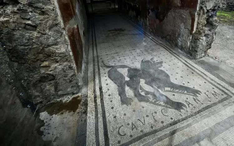 AI helps Latin scholars decipher ancient Roman texts