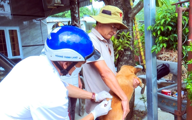 5 people in Vietnam’s Dong Nai exposed to rabies after slaughtering dog, eating its meat