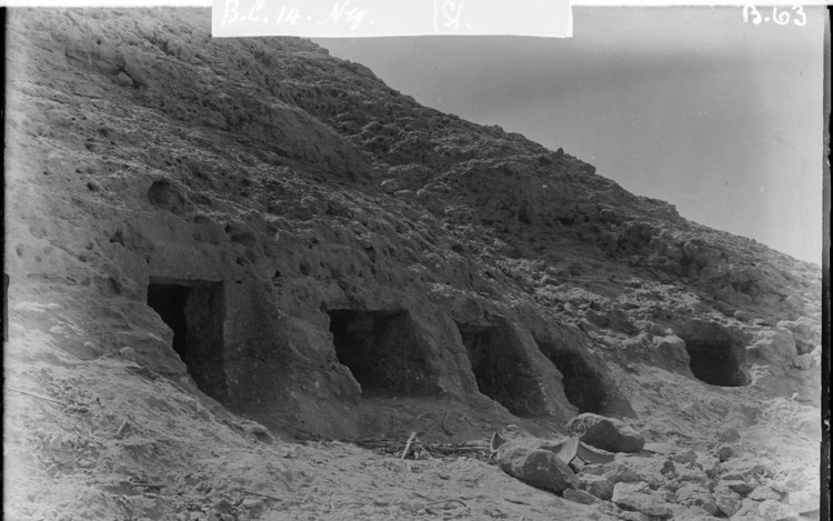 Ancient Egyptian man's genome reveals his society's cross-cultural ties