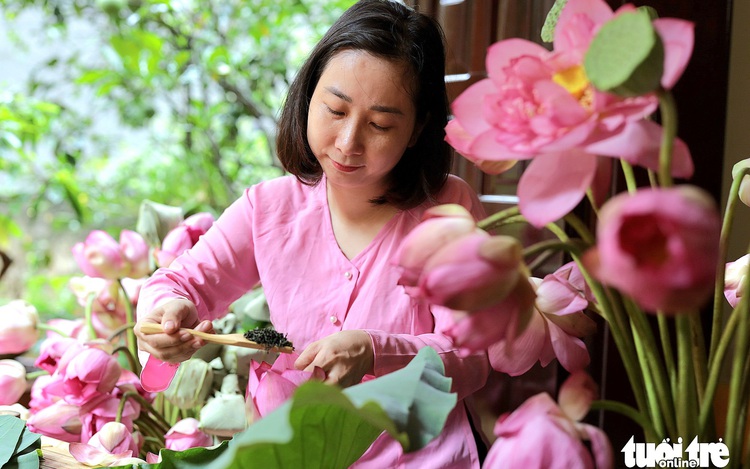Fragrant revival: Hanoi’s West Lake lotus blooms again after years of decline