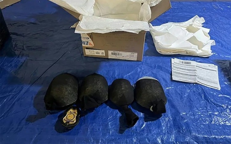 Chinese man pleads guilty in US to smuggling protected turtles