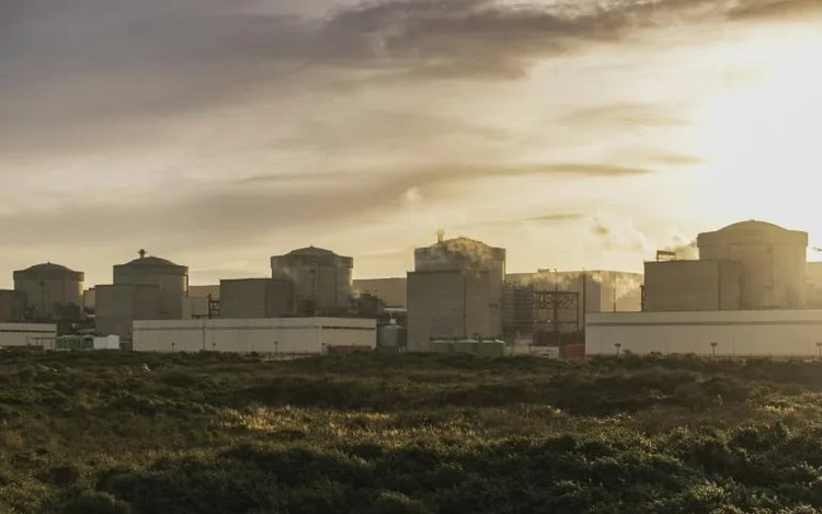 Jellyfish force French nuclear plant shutdown