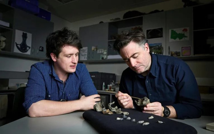 Scientists unearth 'cute' but fearsome ancient whale