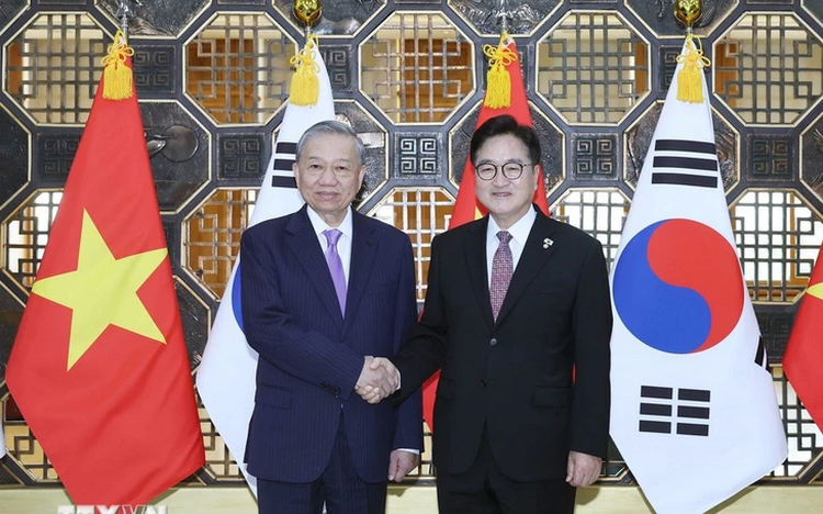 Vietnam’s Party chief hopes to see Vietnamese in S.Korea’s parliament