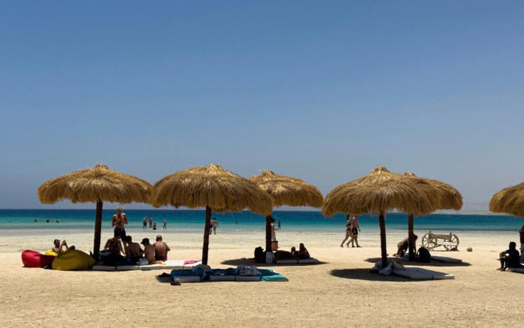 Tourism deal puts one of Egypt's last wild shores at risk