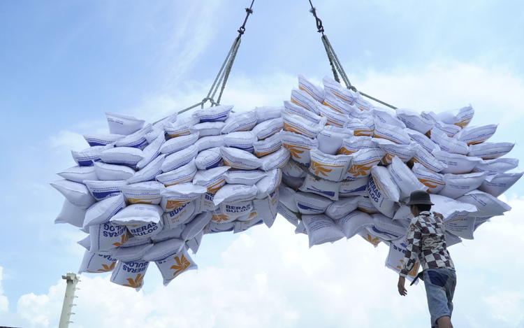 Vietnam premier orders race to boost rice exports, build national brand