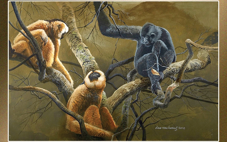 In Vietnam, Dao Van Hoang turns art into voice for nature