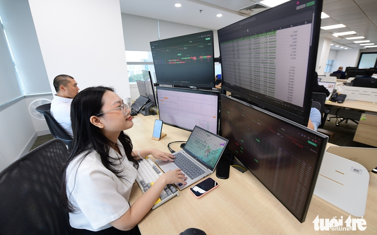 From prey to predator: Vietnamese firms emerge as global strategic investors