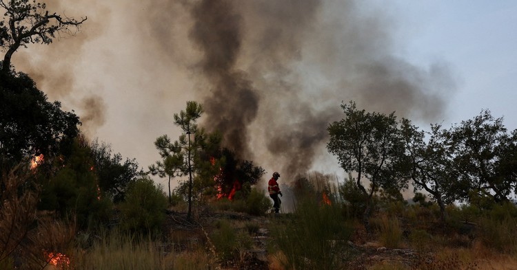 Record wildfires burn more than 1 million hectares of EU land this year