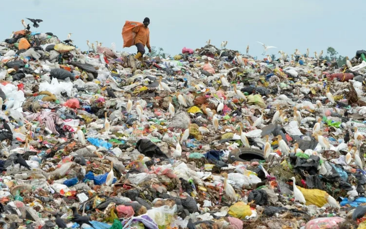 New push to reach plastic pollution pact
