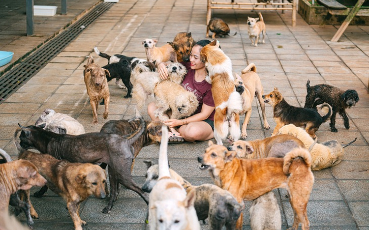 Vietnamese woman provides rescue shelter for abandoned animals