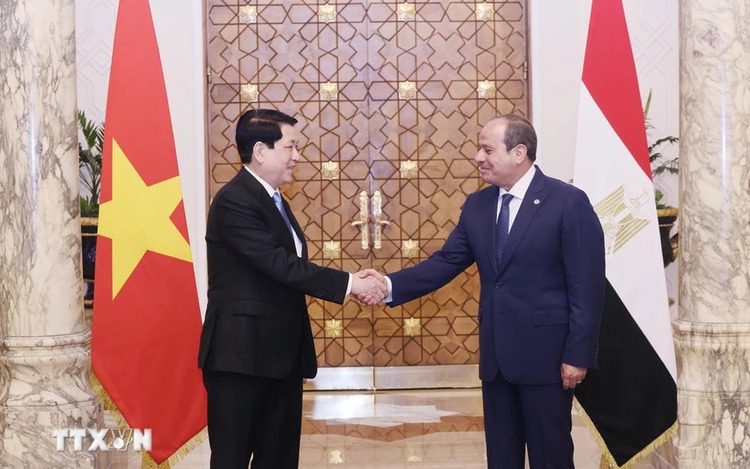 Vietnam, Egypt elevate relationship to comprehensive partnership