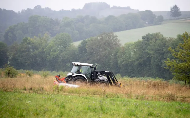 How mowing less lets flowers bloom along Austria's 'Green Belt'