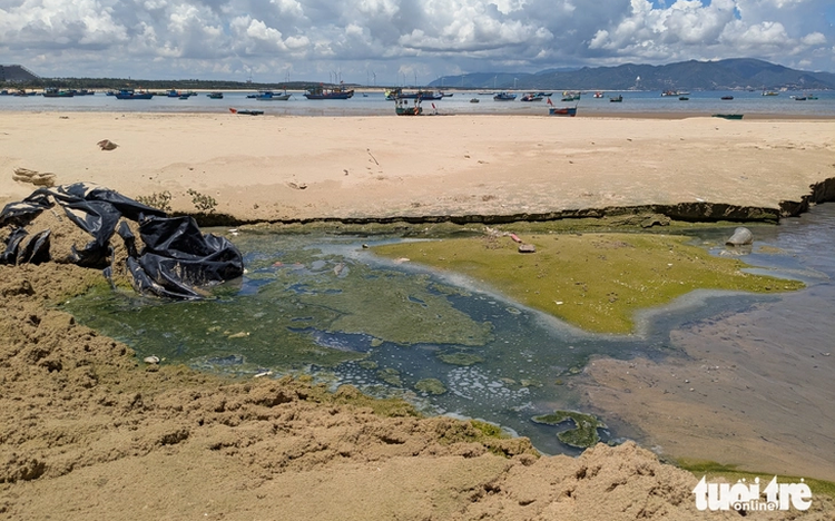 Wastewater treatment plant in Vietnam’s Gia Lai left idle as sewage continues to flow into sea