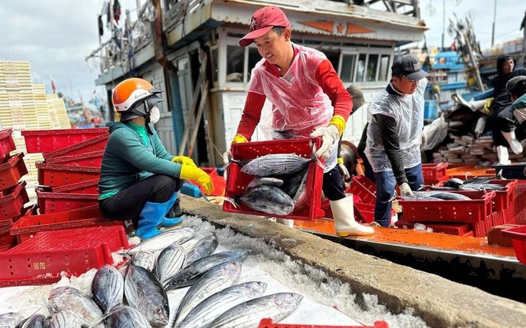Vietnam urges US to reconsider denial of comparability findings for 12 fisheries